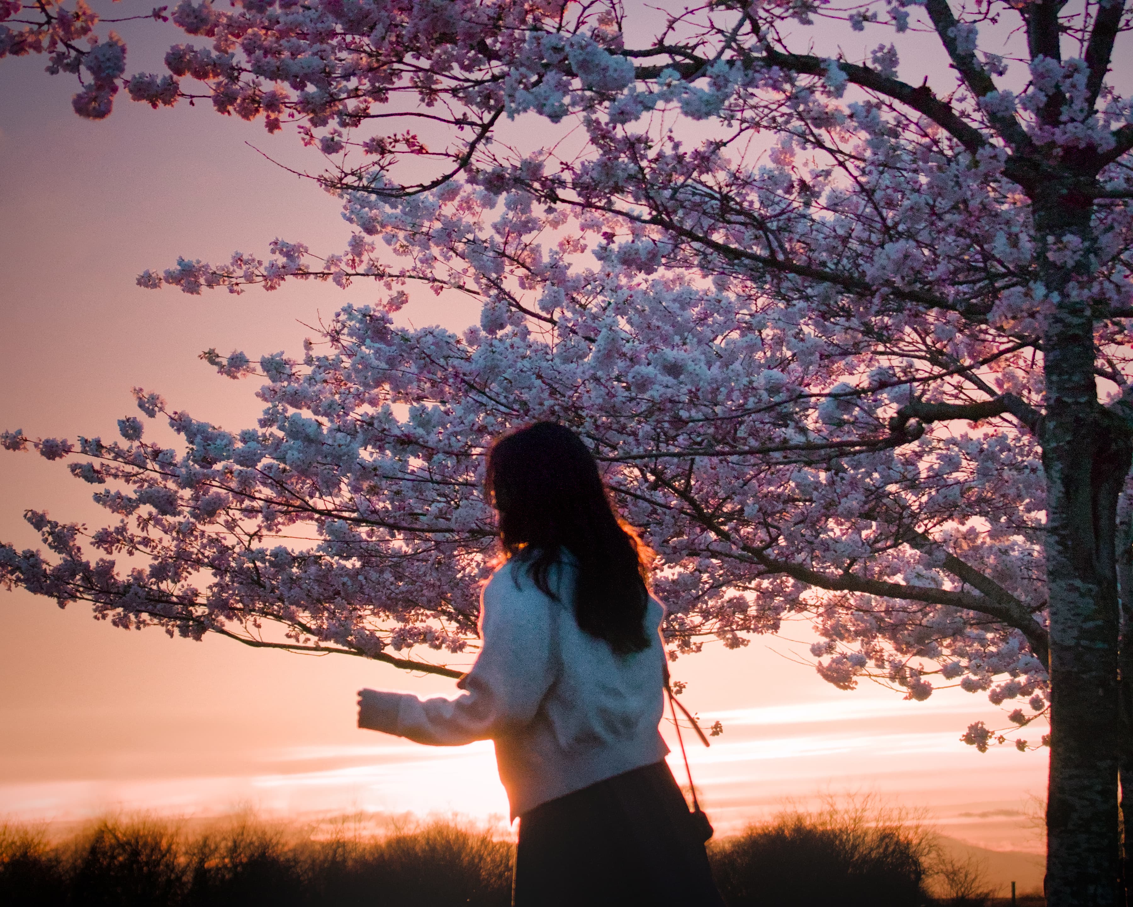 Blossom girl