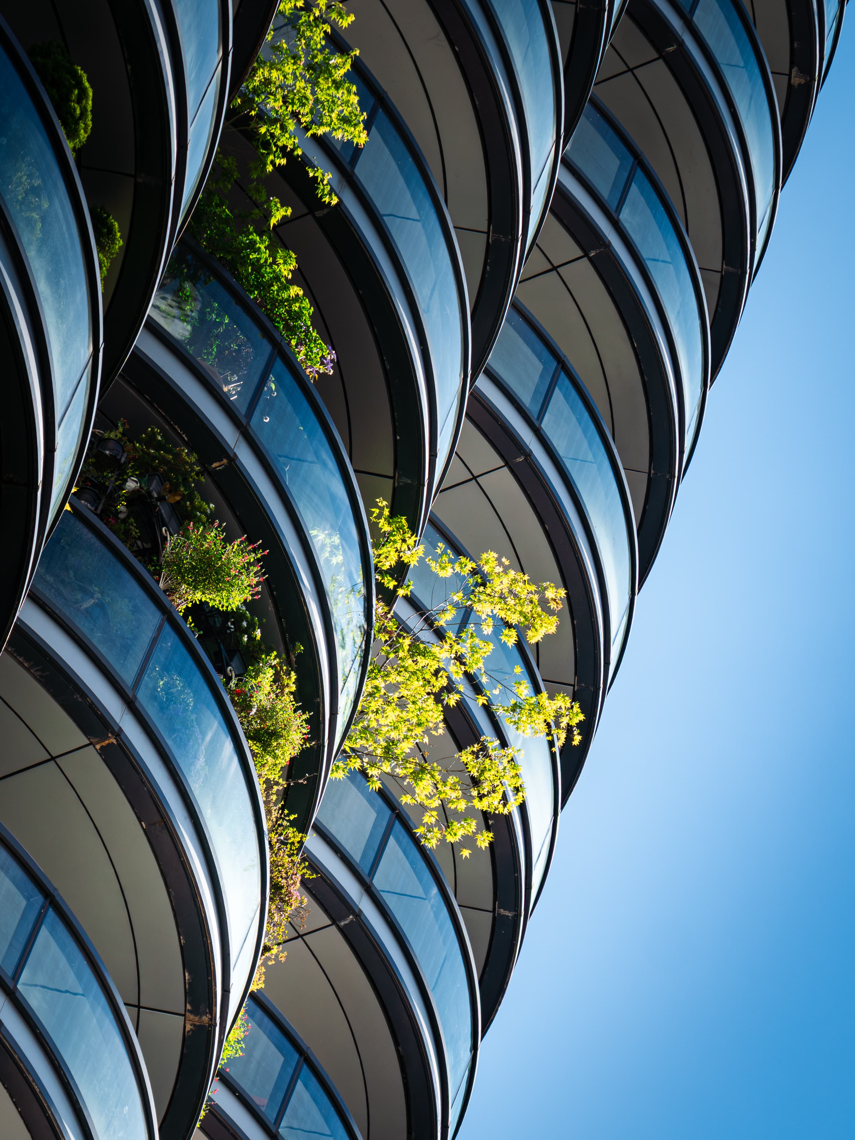 Skyscraper greenery
